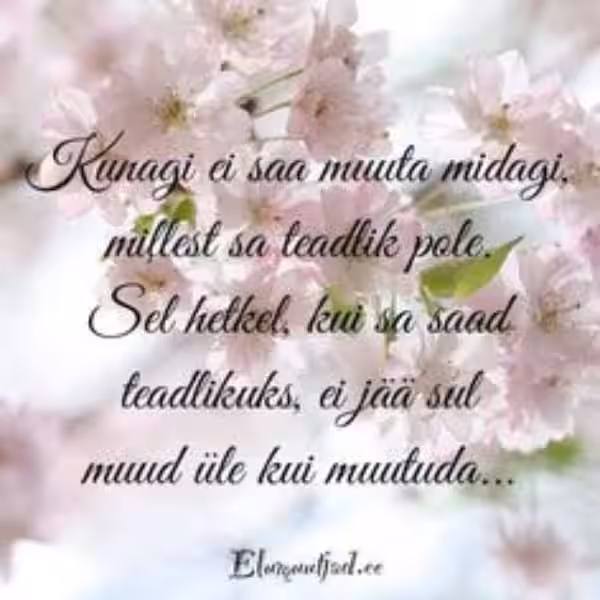 Ilusad tsitaadid: inspiratsioon ja tarkus raamatutest, inimestest ja kirjanikest