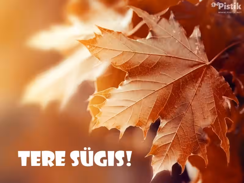 Sügise värvid ja tarkus tsitaatides